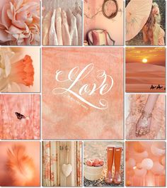 a collage of pink and white pictures with the words love