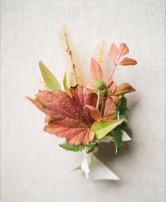 an arrangement of leaves and flowers on a white surface