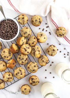 chocolate chip muffins cooling on a wire rack