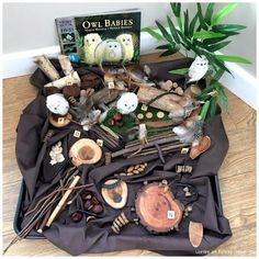 an open suitcase filled with lots of different types of wood and other things on the floor