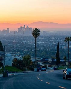 cars driving down the road in front of a cityscape with palm trees at sunset