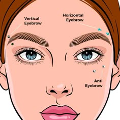 a woman's face with different types of eyebrows