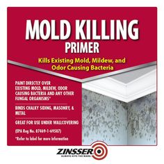 mold killing primer with instructions on how to remove mold from the walls and ceiling