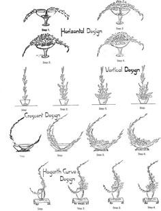 an image of different types of flowers and their names in black ink on white paper