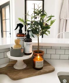 a bathroom counter with a potted plant and candles on it