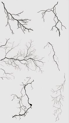 black and white photograph of tree branches with no leaves