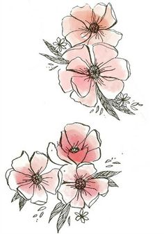 some pink flowers on a white background with watercolor and ink drawing technique by person