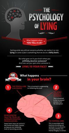 the anatomy of the human brain and how it is used to help them understand what they are