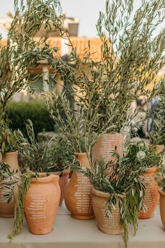 there are many pots with plants in them on the table and one has an inscription on it