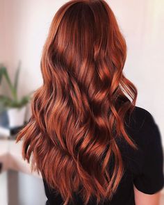 Beer For Hair, Red Orange Hair, Latest Hair Color