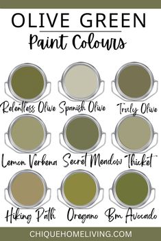 olive green paint colors with the words olive green painted on them in black and white