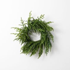 a close up of a green wreath on a white background