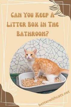 an orange and white cat sitting in a litter box with the caption can you keep a litter box in the bathroom?