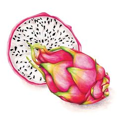 a drawing of a dragon fruit on a white background