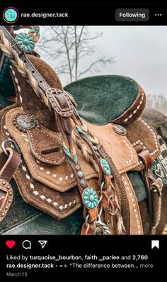 an image of a horse with saddles and beads on it's bridle