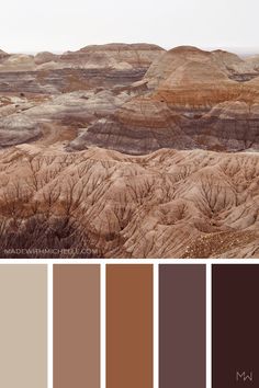 the color palette is brown and tan, with many different colors on it's sides