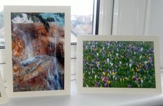 three pictures are shown on a window sill with flowers in the foreground and water running down them