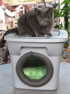 a gray cat sitting on top of a litter box