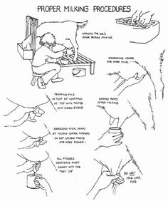 a diagram showing proper proper proper proper proper proper proper proper proper proper proper proper proper proper proper proper proper proper proper proper proper proper proper proper proper proper