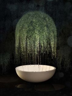 a bathtub with trees growing out of it in the middle of a dark room