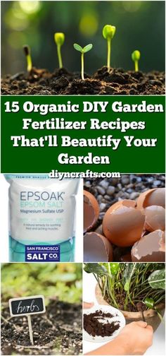 the top ten organic diy garden fertilizer recipes that'll beaufy your garden