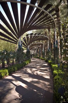 the walkway is lined with trees and plants