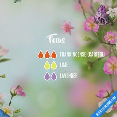 Essential Oil Combos, Magia Das Ervas, Essential Oils Herbs