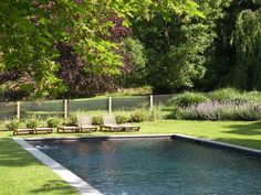 Pool fence inspiration Pool Fencing Landscaping, Luxury Pools Indoor, Ultimate Backyard, Instagram Landscape, Barn Renovation, Natural Swimming Pools, Shelter Island