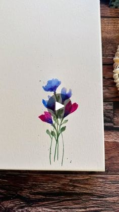 an image of some flowers on a piece of paper next to shells and seashells