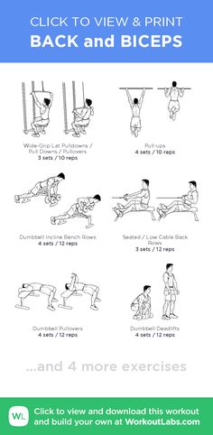 an exercise poster with instructions on how to use the back and bicep exercises