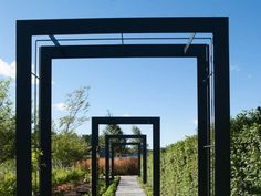 the walkway is lined with black metal structures and plants on both sides, along with blue skies above