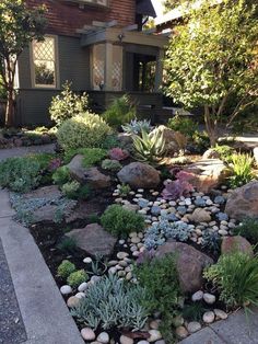 a garden with rocks and succulents in front of a house