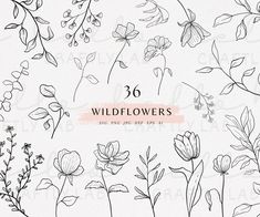 the wildflowers clipart set is shown in black and white