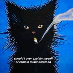 Animal Fails, Gatto Carino, Art Dark, Arte Inspo, Silly Cats, Funky Art, Art Photo, Pretty Art, Dark Art