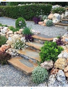 an outdoor garden with rocks and plants on the ground, along with steps leading up to it