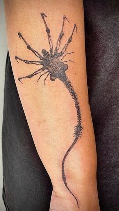 a person with a tattoo on their arm that has a spider crawling out of it