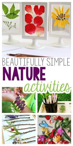 beautiful simple nature activities for kids to do with the sunflowers and other flowers