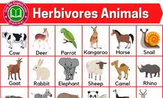 an animal chart with different animals and their names