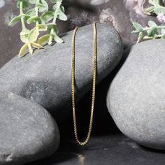 This classic box chain comes in 14k yellow gold and has a width of 1.1 millimeters. Chain Information Width 0.04 inches Chain Type Box Clasp Type Lobster Clasp Approximate Weight 3.8 gram(s) - 7.1 gram(s) Available Sizes 16 - 30" Metal 14K Yellow Gold " Yellow Gold Rectangular Box Chain Necklace, 14k Gold Rectangular Box Chain Necklace, Rectangular Yellow Gold Box Chain Necklace, Silver Jewelry Necklace, Zircon Jewelry, Box Clasp, Silver Anklets, Yellow Gold Chain, Silver Pendants