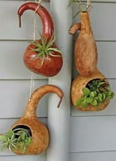 three hanging planters on the side of a house with succulents in them