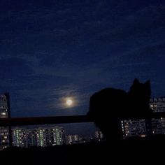 a cat sitting on top of a fence at night with the moon in the background