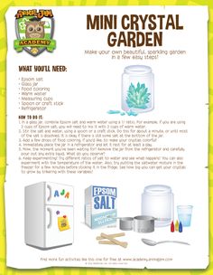 an advertisement for the mini crystal garden with instructions on how to make it and what to use