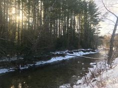 the sun shines brightly through the trees near a small stream in wintertime, with snow on the ground