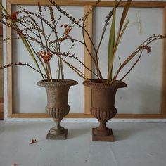 two vases with plants in them sitting on a table