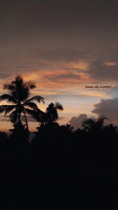 the sun is setting behind palm trees and there are clouds in the sky above them