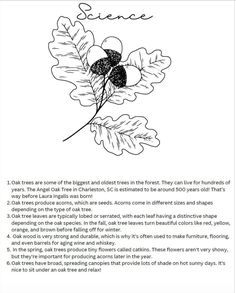 the poem is written in black and white, with an image of leaves on it