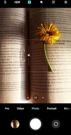 an open book with a yellow flower on top of it and the image is being viewed from above