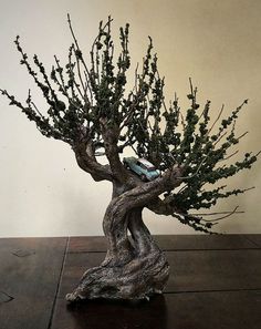 a bonsai tree with a bird perched on it