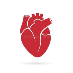 the human heart icon in flat style on white background with shadow and shadow effect royalty illustration