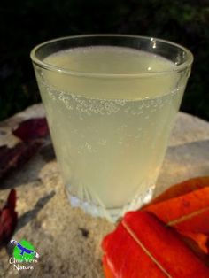 a glass filled with liquid sitting on top of a table next to an orange leaf